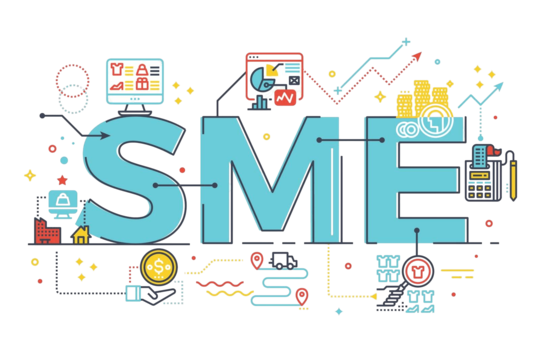 Small and Medium Enterprises